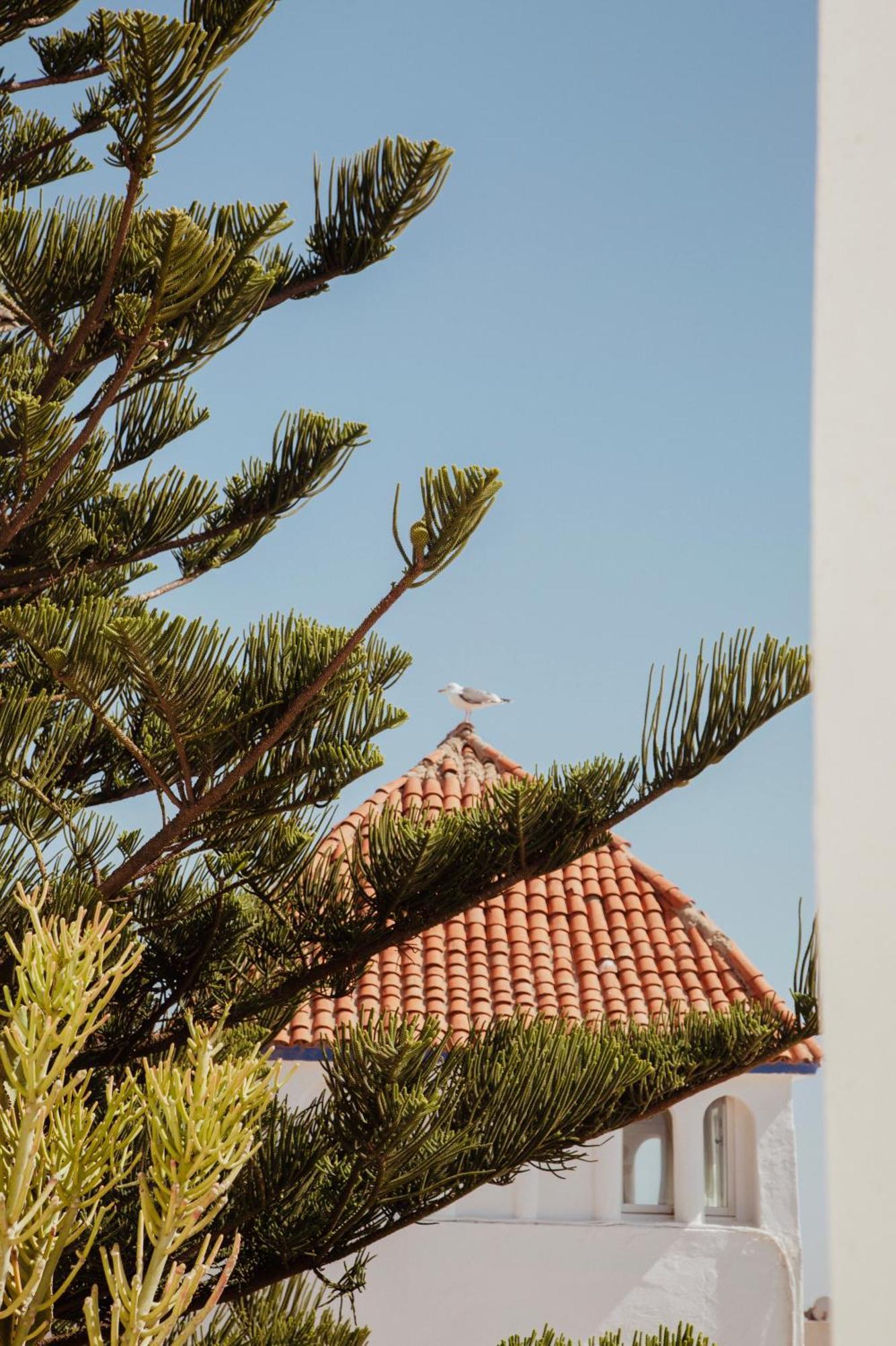 Villa Maroc Suvayr Dış mekan fotoğraf
